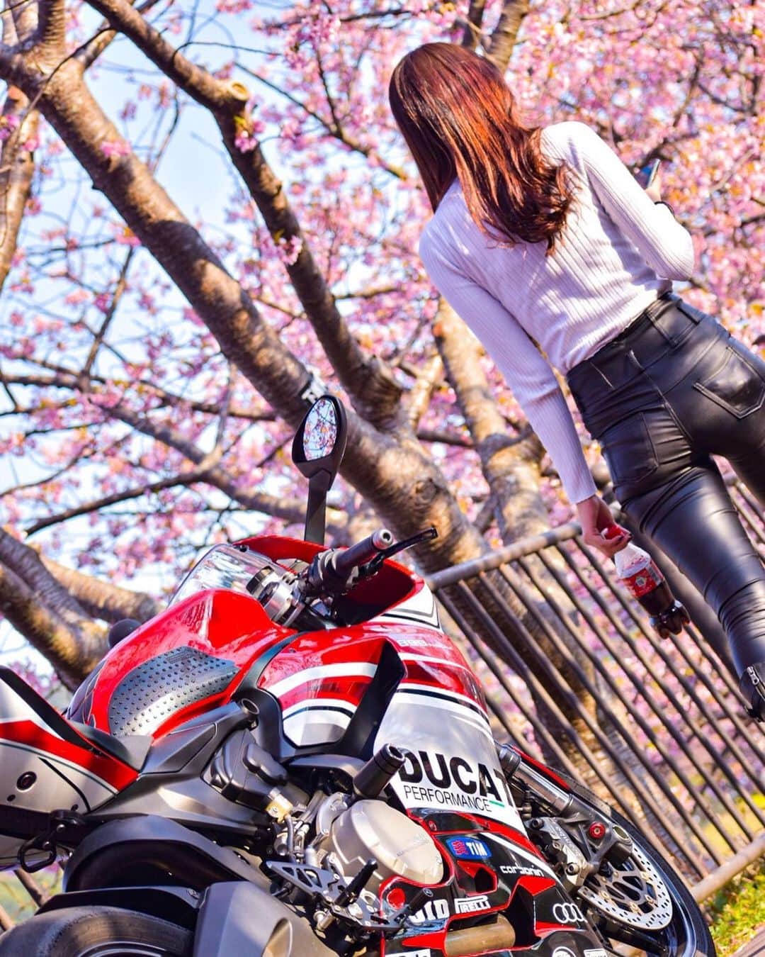 CAMIRAのインスタグラム：「おちり🤣 #河津桜#伊豆#バイク女子#バイク好きな人と繋がりたい#バイク写真部#bikegirl#motorcycle#bikelife#bike#ducati#panigale#superbikes」