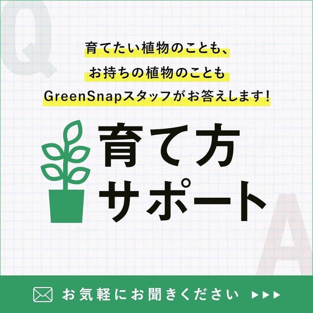 みどりで、つながる GreenSnapのインスタグラム