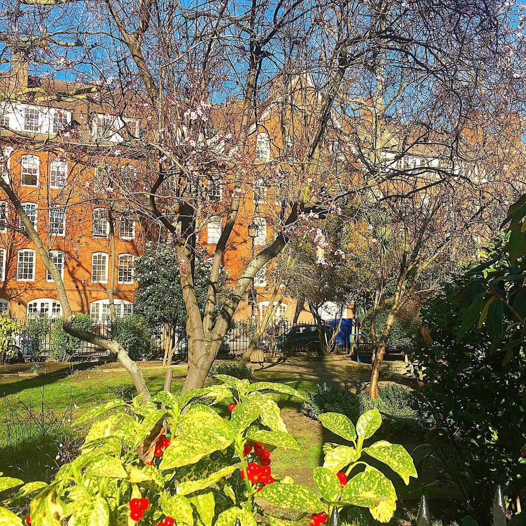 渡辺枝里子さんのインスタグラム写真 - (渡辺枝里子Instagram)「【London散歩🇬🇧🌷】  最近やっと冬のどんより空を抜けつつある気がする😌  * * * * * #london #uk #walking #stjamsespark #spring  #londondiaries #londonlife  #ロンドン　#イギリス　#春　#お散歩　#ロンドン生活　#海外生活　#ロンドン散歩　#ロンドン日記　#渡辺枝里子」3月1日 20時14分 - eriko_watanabe_21