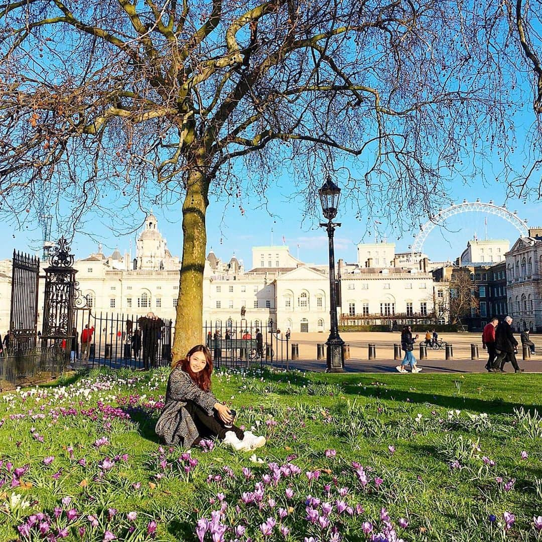 渡辺枝里子のインスタグラム：「【London散歩🇬🇧🌷】  最近やっと冬のどんより空を抜けつつある気がする😌  * * * * * #london #uk #walking #stjamsespark #spring  #londondiaries #londonlife  #ロンドン　#イギリス　#春　#お散歩　#ロンドン生活　#海外生活　#ロンドン散歩　#ロンドン日記　#渡辺枝里子」