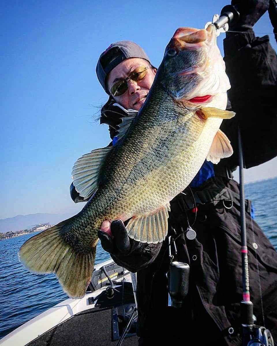 晁直 のインスタグラム：「フィンクライテキ 57cm/3kg #redwiener #drtfink #bassfishing #northforkcomposites」