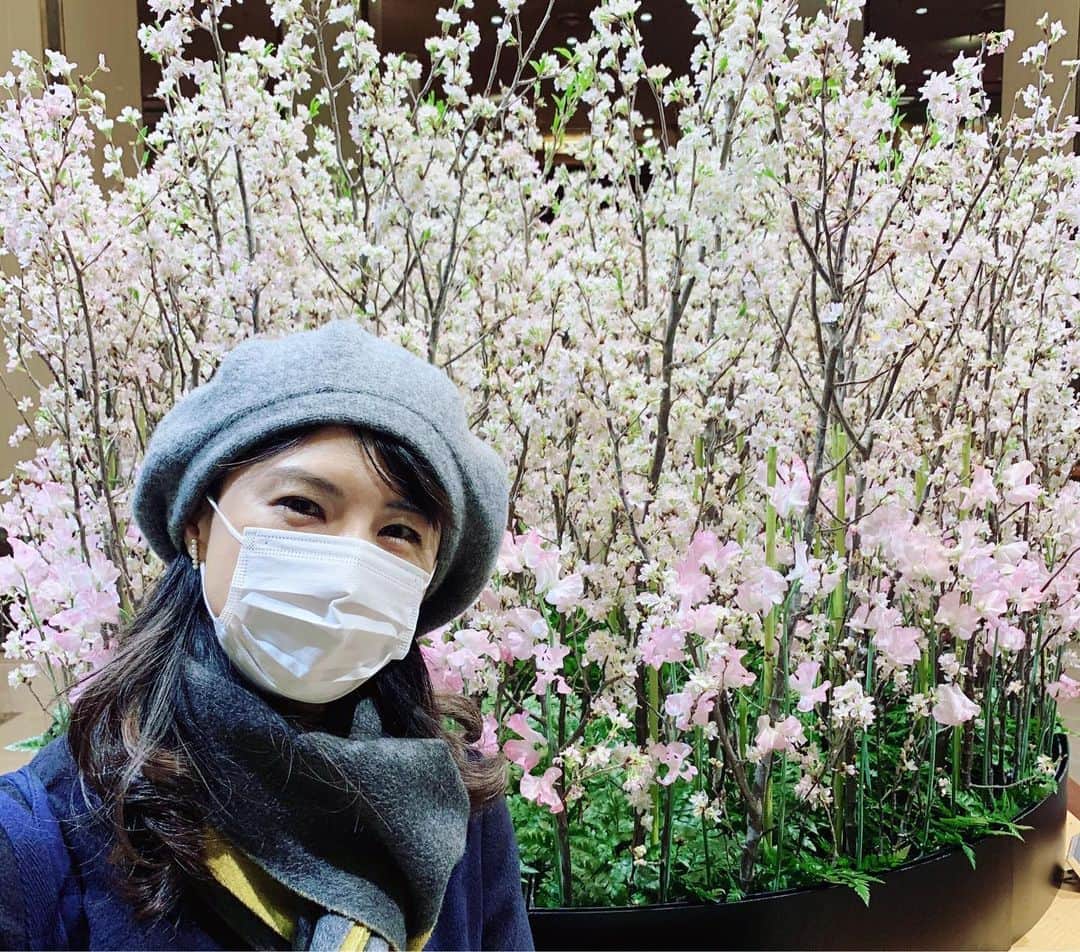 中江有里さんのインスタグラム写真 - (中江有里Instagram)「年度末ですね。  去年は味わう余裕もなかった３月のさみしさ、肌寒さ、清々しい空気。今年は存分に感じたい。 そして体調に気をつけて乗り切っていきましょう。  #中江有里」3月1日 11時42分 - yurinbow1226