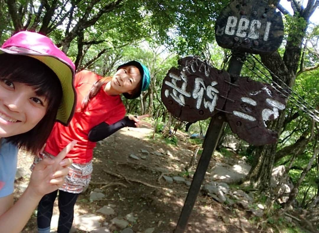 のインスタグラム：「万二郎岳🗻🗻🗻🌷   天城山も最高でした✨  ヒメシャラの木がいっぱいあり、幻想的でした🍀  シャクナゲの少しあとに行ったので、 次はシャクナゲ見に行きたいな🌷✨  反転してますが、笑 ４、５年前に地元の友達すずちゃんと行きました✨  #万二郎岳  #天城山 #日本百名山  #山  #山登り」