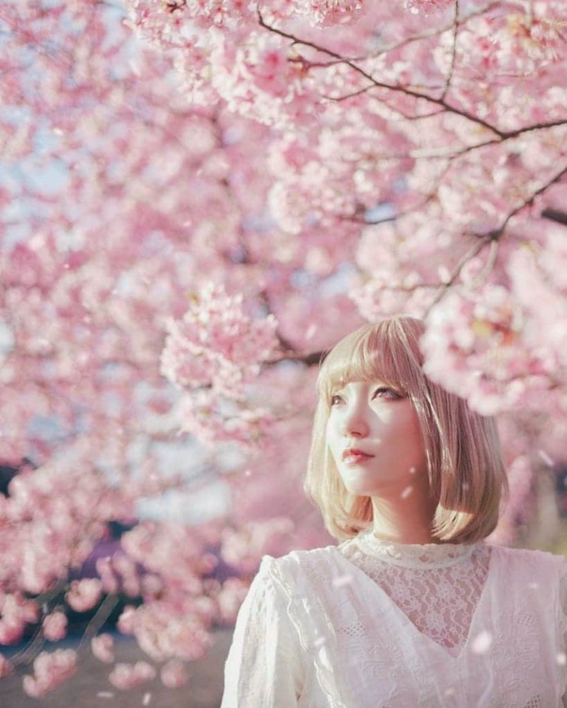 高橋伸哉さんのインスタグラム写真 - (高橋伸哉Instagram)「桜撮影の準備が終わりました。いよいよ春の到来。 . . #桜  #portraitphotography  #photography  #写真作家  #写真家」3月1日 11時47分 - s.1972