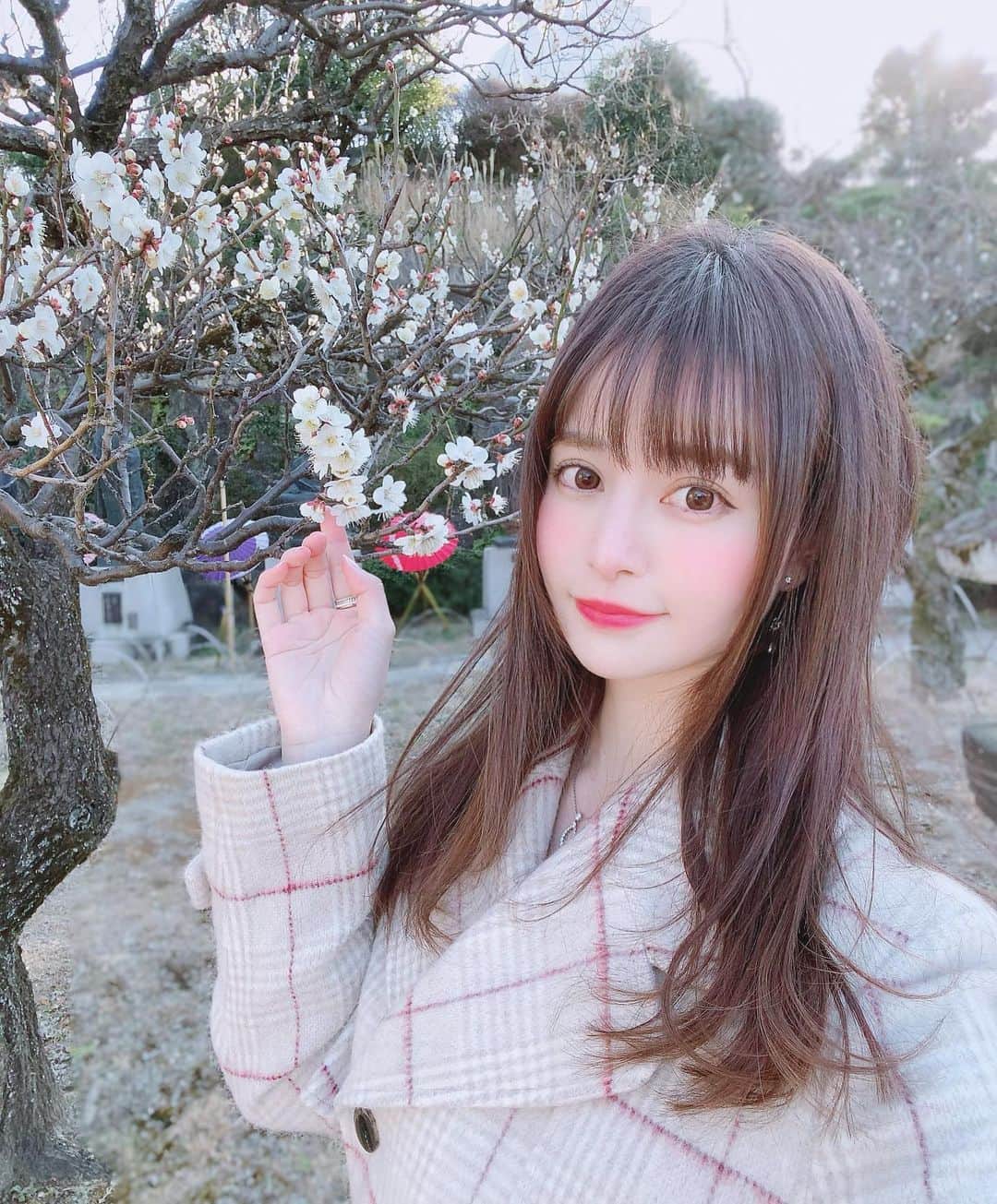のインスタグラム：「咲き始めみっけ🌸♡ . . ぽかぽかになってほしい☀️ #桜 #梅 #花見  #さくら #春」