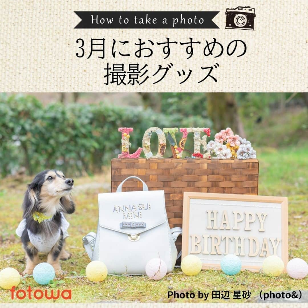 otowa (フォトワ)のインスタグラム