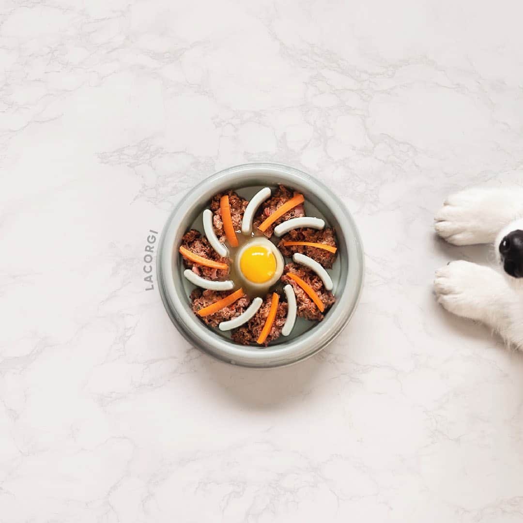 のインスタグラム：「Apparently there are some corgis who are picky about food?! 😱🤯 I wouldn’t know because Geordi & Scotty both inhale their meals in like 10 seconds (hence the slow feeder 🤣🤣🤣). Do you have a picky eater?  If you’re interested in feeding raw, feel free to DM me and I’ll be happy to share my experience! You can also try 10lb of @darwinspetfood for $15 & get free venison treats with code LACORGI (link in bio). 😊」