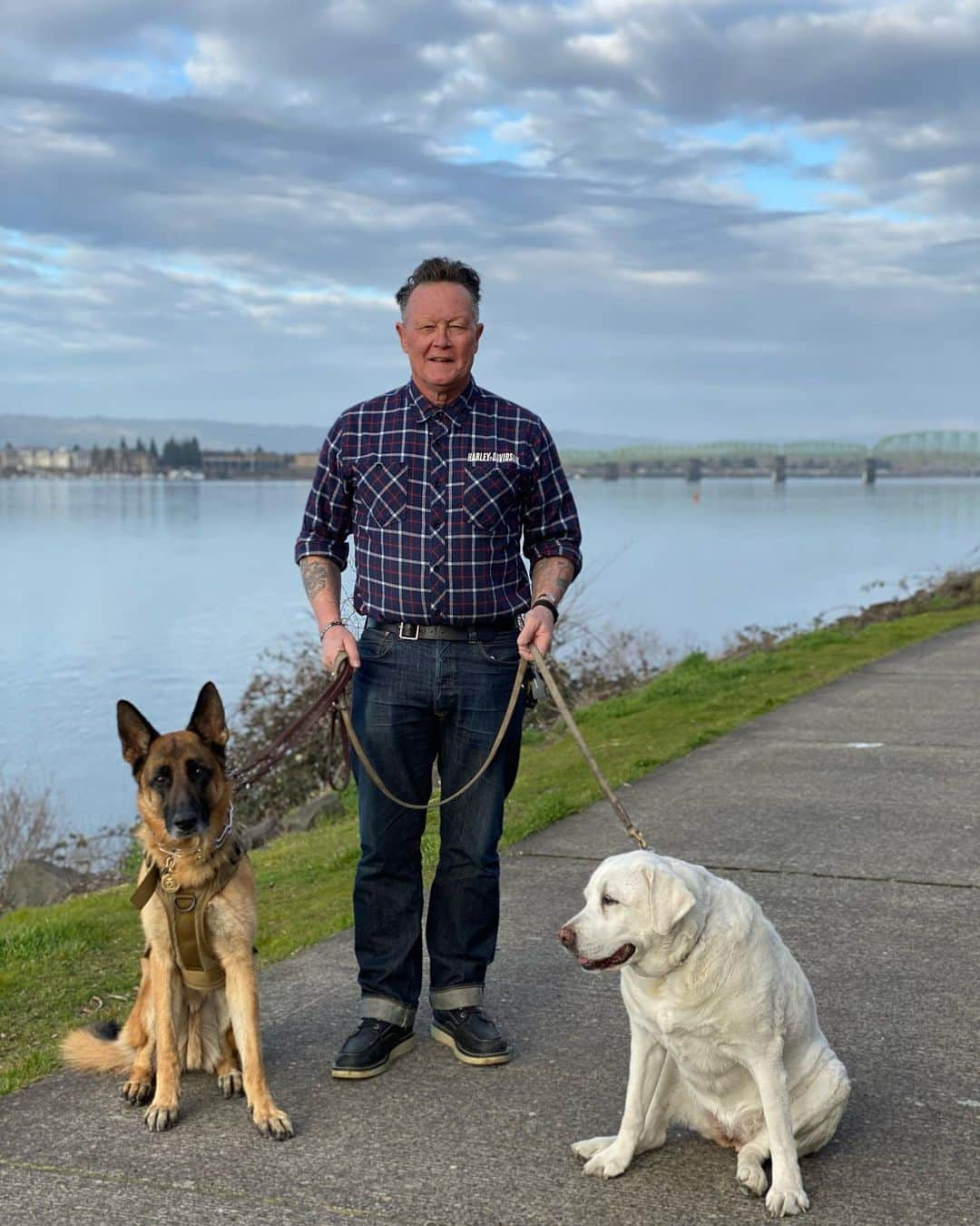 ロバート・パトリックさんのインスタグラム写真 - (ロバート・パトリックInstagram)「Made it to Canada and now settling in for a long 14 day quarantine! #germanshepherd  #germanshepherdsofinstagram #labradorretriever #labsofinstagram #dog #dogs #film #peacemaker #thescriptures」3月1日 12時09分 - ripfighter