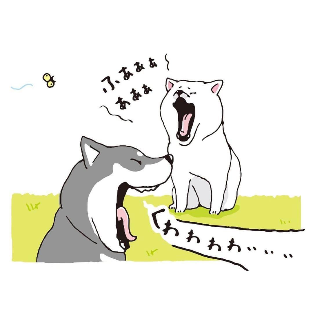 オオゴシヤステルさんのインスタグラム写真 - (オオゴシヤステルInstagram)「はるきた2021  これを描いてる最中は、あくびしっぱなしでした。  #キャンペーン #未公開4コマ #しばんばん #shibanban #オオゴシヤステル #今日の4コマばんばん #マインドウェイブ #柴犬 #しばいぬ #sibainu」3月1日 12時16分 - ogoshi_yasuteru