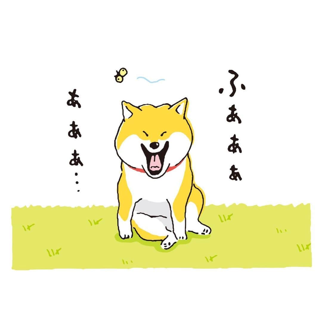オオゴシヤステルさんのインスタグラム写真 - (オオゴシヤステルInstagram)「はるきた2021  これを描いてる最中は、あくびしっぱなしでした。  #キャンペーン #未公開4コマ #しばんばん #shibanban #オオゴシヤステル #今日の4コマばんばん #マインドウェイブ #柴犬 #しばいぬ #sibainu」3月1日 12時16分 - ogoshi_yasuteru