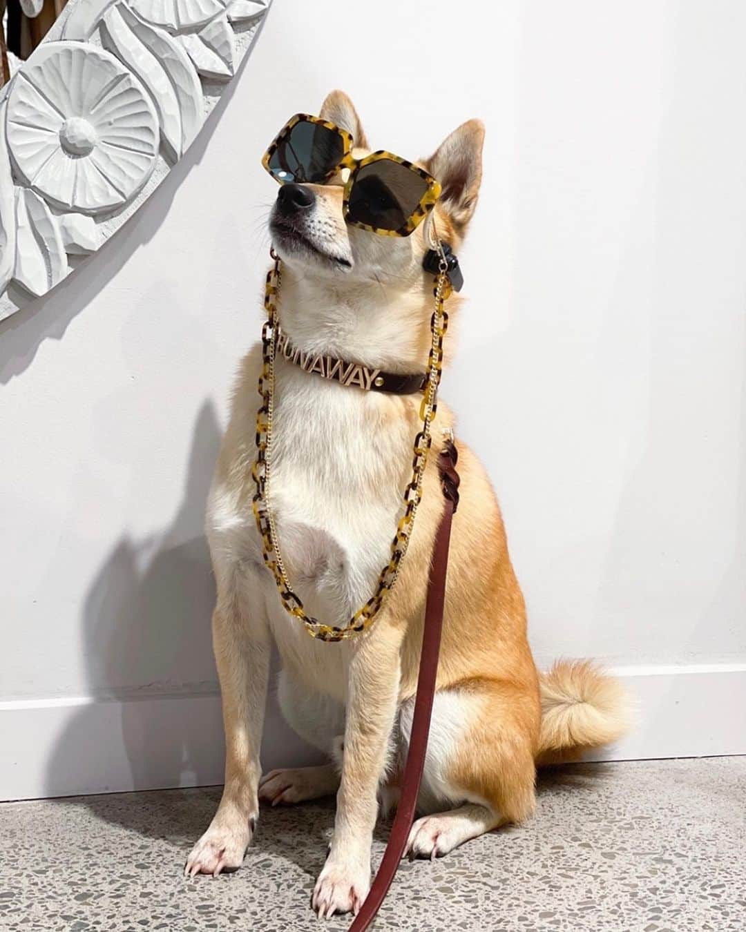 カレンウォーカーのインスタグラム：「We’re looking forward to welcoming you all (and your beautiful pups like @kenzoshiba_nz here) back into our Auckland stores ASAP. If we can help with anything during this time, please do get in touch. You may also call our Newmarket, Britomart or Ponsonby stores to arrange contactless pick up. ​⁣ ⁣ Our webstore, karenwalker.com, continues to dispatch globally using contactless delivery via DHL and CourierPost. All shipping is complimentary and our webstore team is working under strict Alert Level 3 health and safety guidelines.​⁣ ⁣ ​Our Wellington store is currently open and operating safely under Alert Level 2 guidelines. ​⁣ ⁣ Take care! ⁣」