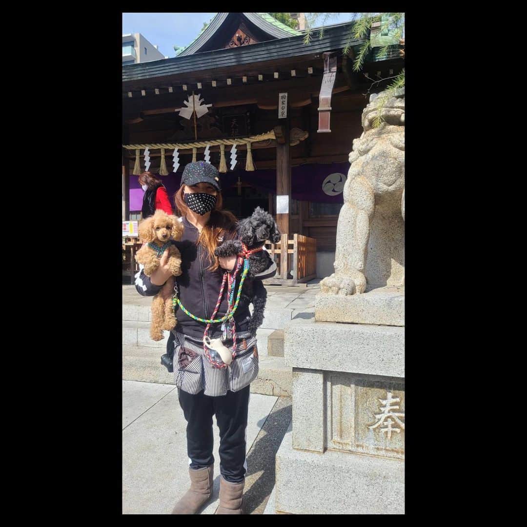 のインスタグラム：「本日から3月。 気持ちの良い朝でスタートですね。  いつものように掃除洗濯など をせっせと終わらせて  おまいりへ。  LLPW-X通販サイト 「神取屋」で 3月3日にVIPな福袋が発売されます。  数に限りがあって 2度とこの福袋は発売されません。  そして早い者勝ちなので ご了承ください。  今日は整体に行く！  Happyで^ ^  プロフィール画面に記載のURLより 通販サイト「神取屋」に飛べます^ ^  コロナ禍に携わる 全てのお仕事の皆様。  心から 感謝しています。  引き続き油断せず お気をつけて お過ごし下さいませ。  #井上貴子  #LLPWX #女子プロレス #紅緒と柊音 #トイプードル #べにひお #神取忍 #おついたち #福袋3月3日発売 #3月2日イチナナ配信16時 #LLPWX通販サイト神取屋 #TikTokはじめてみた #Twitterも見てね #感謝 #STOPCOVID19」