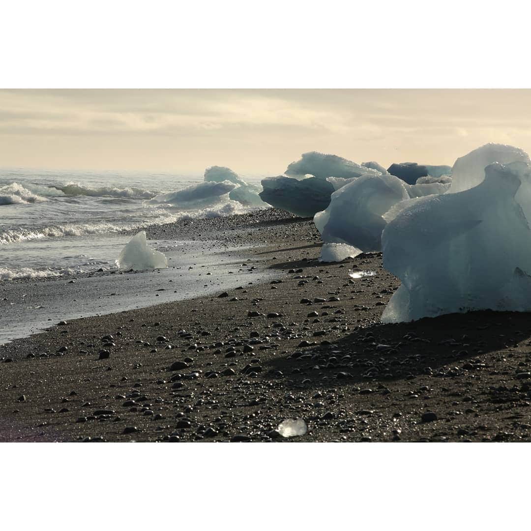 テレビ朝日「世界の街道をゆく」さんのインスタグラム写真 - (テレビ朝日「世界の街道をゆく」Instagram)「大氷河ヴァトナヨークトルに沿って進みます。ダイヤモンド・ビーチという玄武岩の黒い砂浜に、氷河が溶けて崩れ落ちた氷が打ち寄せられていました。自然の造り出した彫刻が刻々と姿を変えながら光り輝き、人々の目を楽しませてくれます。氷菓子のようだと少女が口に含んでいました。 氷が流れ出る源は、ヨークルスアゥルロゥンという氷河湖です。水陸両用車に乗り湖面に向かいました。間近に迫ってくる氷の塊に目を奪われます。ガイドが欠片を手に、これらは1000年近い年月を経たものだと乗船客に語ります。 水面に出ている部分は全体の3分の1程だというから、かなりの大きさです。その眺めに、この地に流れ刻まれてきた悠久の時を想いました。  #世界の街道をゆく #キヤノン #テレビ朝日 #坂東巳之助 #canon 写真　#狩野喜彦 #大自然と人が息づく北国の道 #アイスランド #ヨークルスアゥルロゥン #ICELAND #republicoficeland #LýðveldiÍsland #Jökulsárlón」3月1日 13時01分 - tvasahi_kaidou