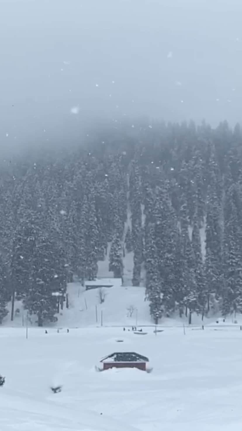 Abhinav Chandelのインスタグラム：「I was in a car staring outside my window while it snowed over the mountains of Gulmarg, as Ibrahim recounted the story from 3rd August, the one I had heard from Rahul as well as he made his way from Pahalgam to Srinagar airport, but I didn’t know what happened to Ibrahim after he dropped him.  It was his story about how he reached back home, 3 hrs away, a few days later, while this song played in the background.  And that’s when someone said, people here look so happy.  “For tourists, they do,” he replied.」