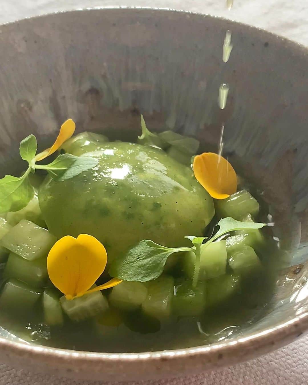 豊田麻子さんのインスタグラム写真 - (豊田麻子Instagram)「胡瓜好きな主人に、胡瓜の一皿を作ってみました😂🥒  胡瓜のピクルス、胡瓜のパウダー、胡瓜のゼリー。グルメな要素が欲しかったので、土台にはプルドポークをレタスで巻いたものを。ソースはもちろん胡瓜汁がベースで、生姜と醤油でインパクト強め。ゼリーに入れた花椒粉がいい味出してました🥒  #胡瓜　#前菜　#おうちごはん　#浜本洋好さん」3月1日 13時33分 - asako_sen