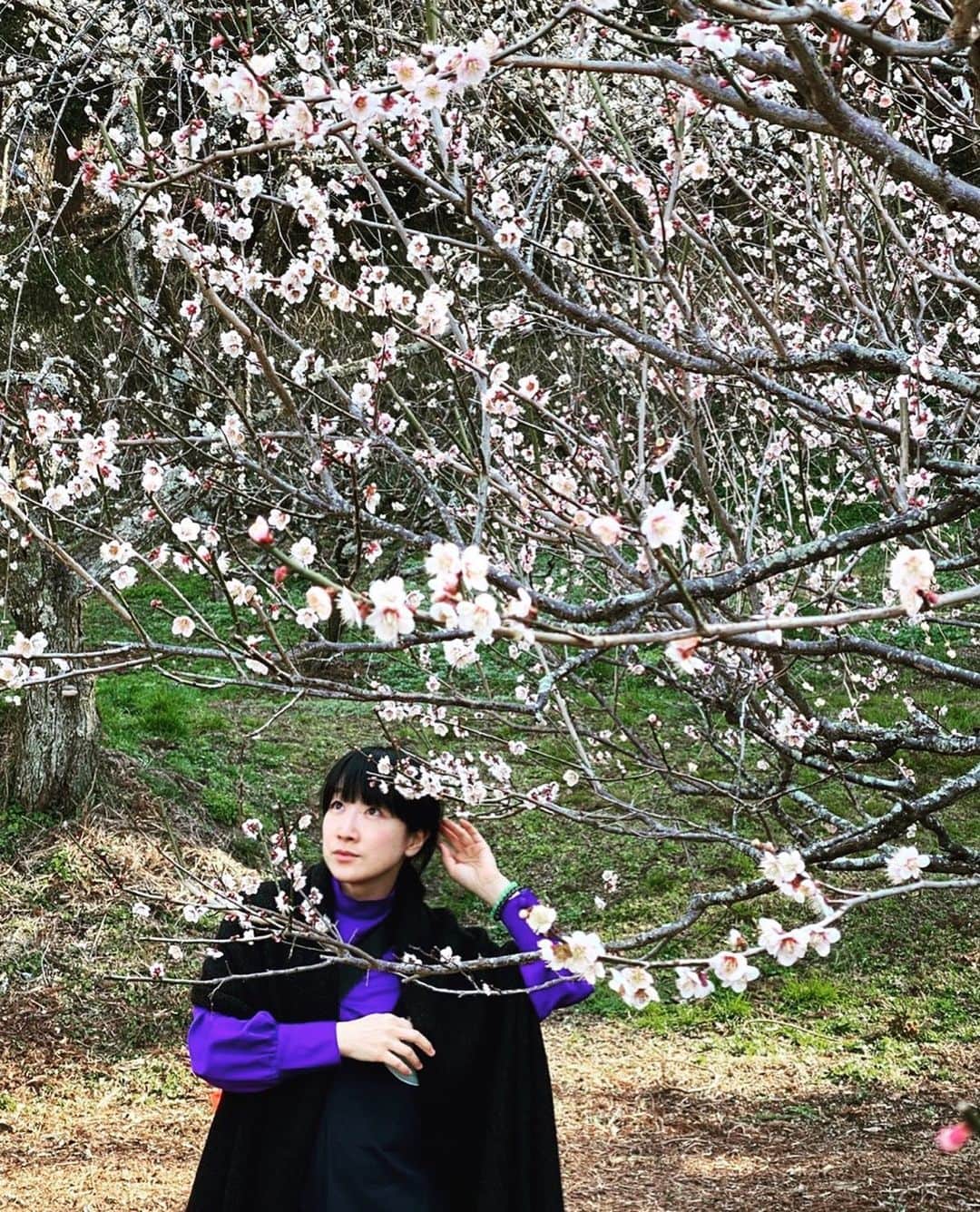 のインスタグラム：「ハナの穴開く３月です🐽3/14生配信ライブまでもあと少し☺️  . . #march#3月 #spring #桜 #桃 #かな」