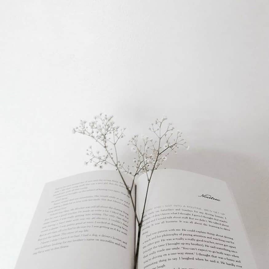 ホワイトヴェールのインスタグラム：「* *  窓を開けて、春の風を感じながら読書をする。 白い花をしおりに、次のページをめくるのが楽しみな昼下がり。  Photo by @cy__._.__cy   #ホワイトヴェール#whiteveil#飲む日焼け止め#日焼け止め#日焼け止めサプリ#太陽に負けないサプリ#春#spring#花#flower#読書#reading」