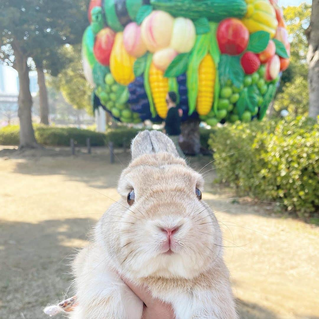 うー & なー ❤️ウチムラのインスタグラム：「* ？？？？？ 謎のカラフルな木がありました🌳 なんだろ？笑🍅🥦🌽🍑」