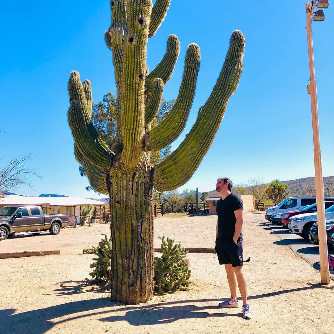 村主章枝さんのインスタグラム写真 - (村主章枝Instagram)「We found a huge cactus 🌵  大きなサボテンを発見😳 #lasvegas  #ラスベガス生活」3月1日 15時10分 - fumie.suguri