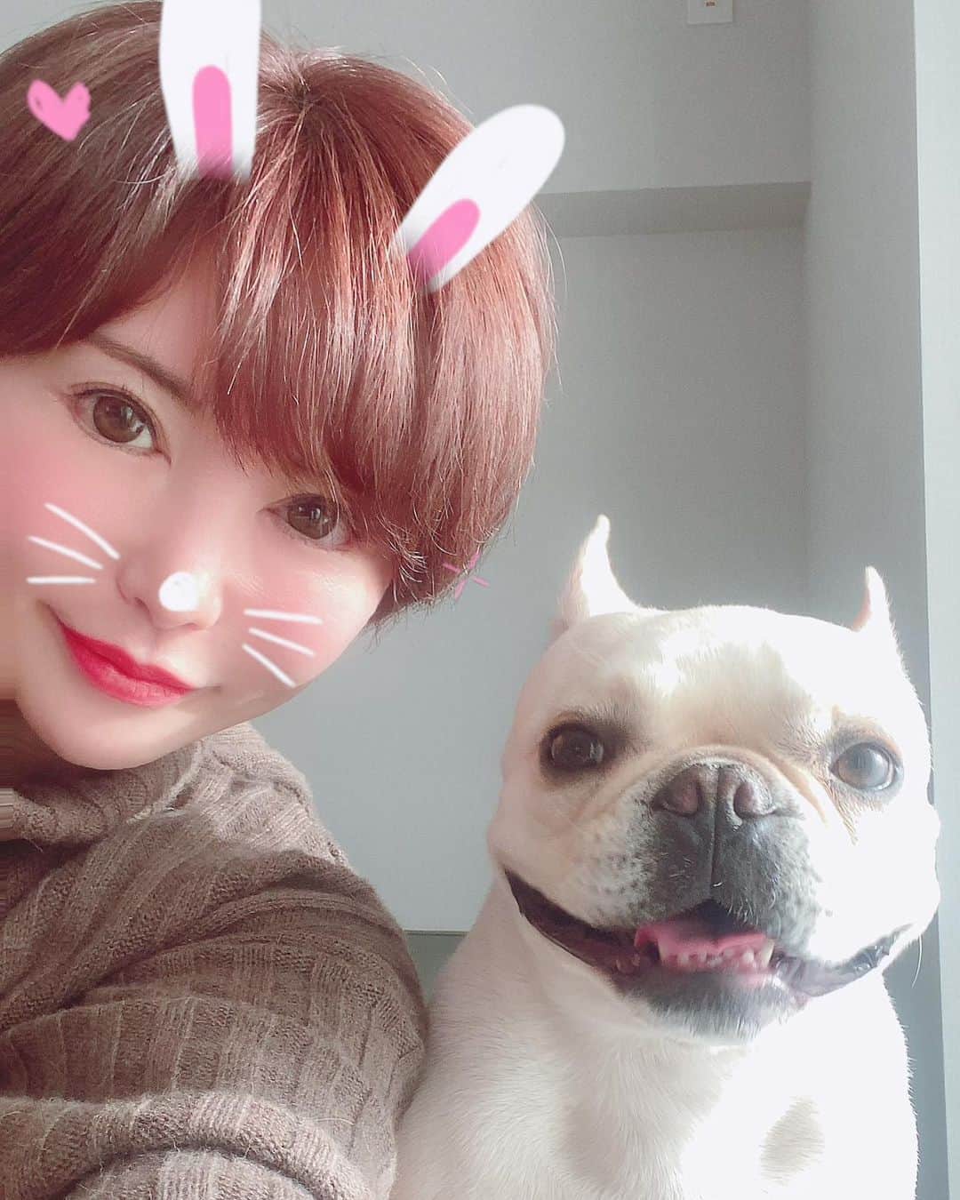 里美ゆりあのインスタグラム：「ゆりあうさとつね❤  #フレンチブルドッグ #恋人 #lovelove  #マッチング成立 #dog」