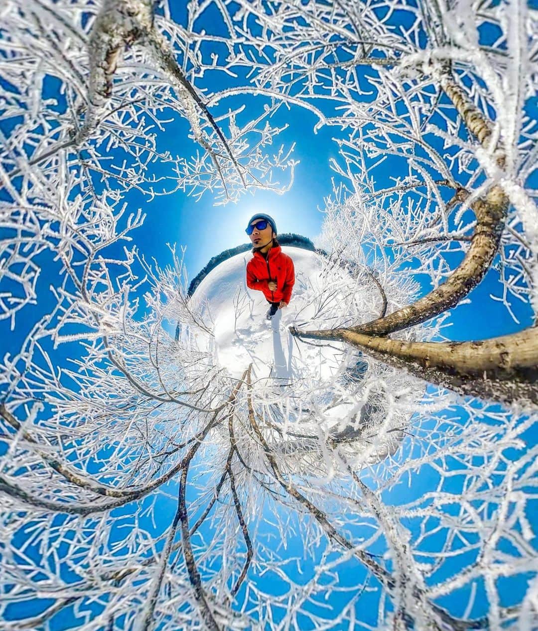 GoProさんのインスタグラム写真 - (GoProInstagram)「真冬のお花見 🌸 白銀の世界で満開の朝樹氷の花をとらえる #GoProファミリー @akira.tanaka.canyoneer ❄️  GoProSnow チャレンジ開催中！ ❄️ GoPro で撮影したスノーコンテンツを大募集。フォト・ビデオを #GoProアワード に応募すればビデオは $500、フォトは $200 をゲットできるかも！？💰 GoPro.com/Awards で応募しよう！  そして Instagramではもう一つのGoProSnowチャレンジを開催。 #GoProSnow + #GoProJP がタグ付けされた日本国内のGoPro作品の中からベストビデオには #GoProMAX 、ベストフォトには #GoProHERO9 Black を贈呈。今すぐ参加しよう！ Instagram上での #GoProSnow 参加方法👇 ① #雪 を見つける ② コンテンツをInstagramに投稿 ③ 投稿をする際 #GoProSnow と #GoProJP をタグ付け。 ④ 期限は 3/15 まで。  GoProアワード + Instagram の #GoProSnow チャレンジに今すぐ参加しよう！ ・ ・ ・ #GoPro #GoProのある生活 #雪 #雪山 #雪景色 #白馬 #長野 #スノー」3月1日 16時16分 - goprojp