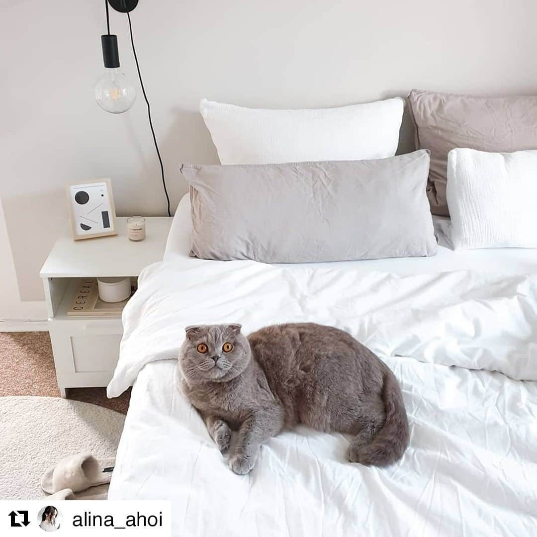 IKEA Austriaさんのインスタグラム写真 - (IKEA AustriaInstagram)「Monday Morning Mood. 🥱  Bei @alina_ahoi darf heute ausgeschlafen werden - wir würden uns am liebsten direkt dazulegen! 🐱 💤  #IKEAat #Regram   // GLADOM Tabletttisch, schwarz €14,99  #IKEA #Schlafzimmer #Bedroom #Inspo #Monday #ausschlafen #Bettwäsche #Nachttisch #catcontent」3月1日 16時10分 - ikeaaustria