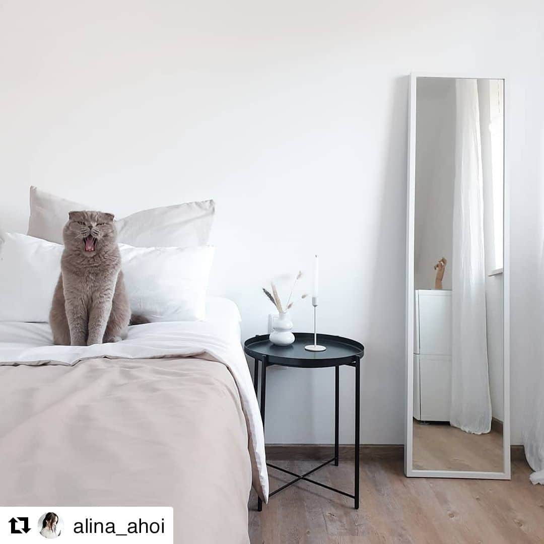 IKEA Austriaのインスタグラム：「Monday Morning Mood. 🥱  Bei @alina_ahoi darf heute ausgeschlafen werden - wir würden uns am liebsten direkt dazulegen! 🐱 💤  #IKEAat #Regram   // GLADOM Tabletttisch, schwarz €14,99  #IKEA #Schlafzimmer #Bedroom #Inspo #Monday #ausschlafen #Bettwäsche #Nachttisch #catcontent」