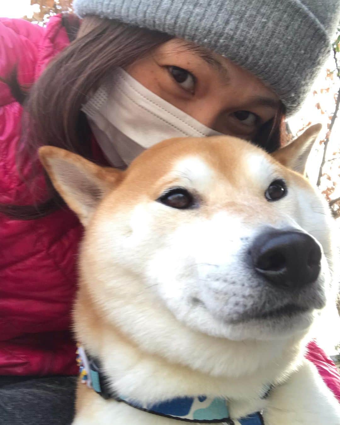 高橋みゆきのインスタグラム：「風強い中お散歩行くのに眼鏡忘れるっていう…🌬なぜだ🥺目の痒みが恐ろしい😭 #花粉 #眼鏡なぜ忘れた #散歩 #すでに痒い #触らないように他に気をそらす #クラ吉 #犬も花粉症とかあるのかな」