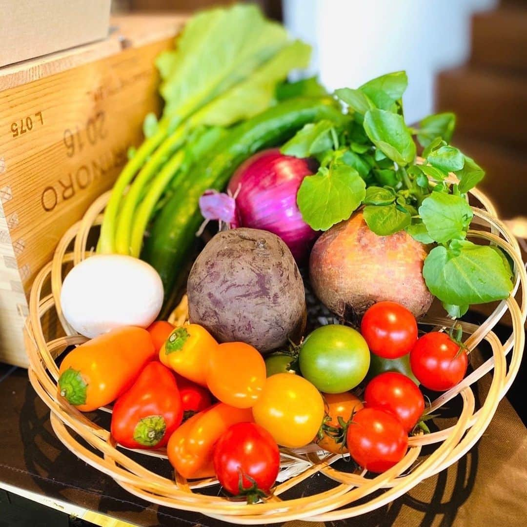 モンスーンカフェさんのインスタグラム写真 - (モンスーンカフェInstagram)「.  🍅🥬モンスーンマルシェ開催🥕🥒 “モンスーンカフェたまプラーザ” 開催日/3/6(土).3/13(土)  モンスーンカフェたまプラーザでは、新鮮な春の彩野菜を販売する「モンスーンマルシェ」を開催いたします！☺️  全国各地の生産者の方々が愛情を込めて育てた野菜や果物を販売いたしますので、是非お立ち寄りくださいませ🥺  #モンスーンカフェ #monsooncafe #モンスーンカフェたまプラーザ　#マチルダ野菜  #matilda」3月1日 16時41分 - monsooncafe_gd