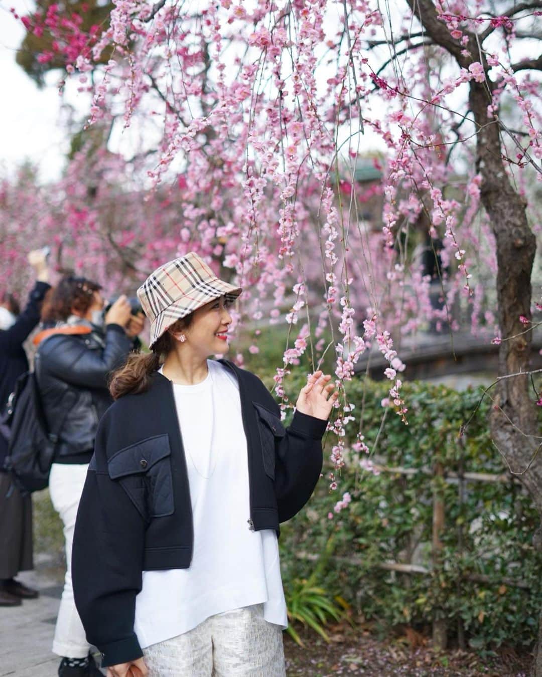 Mai Wakimizuのインスタグラム：「北野天満宮では梅の花が見頃を迎えていました＼(^o^)／自宅のお庭にも梅の花があるので特別好きなお花♡息子にも見せたかったけどずーっと寝てました。笑 帰りに澤屋の粟餅をおみやに♡(もちろん私は我慢です。悲)ポッカポカで気持ち良い〜♡ #北野天満宮#京都#kyoto」