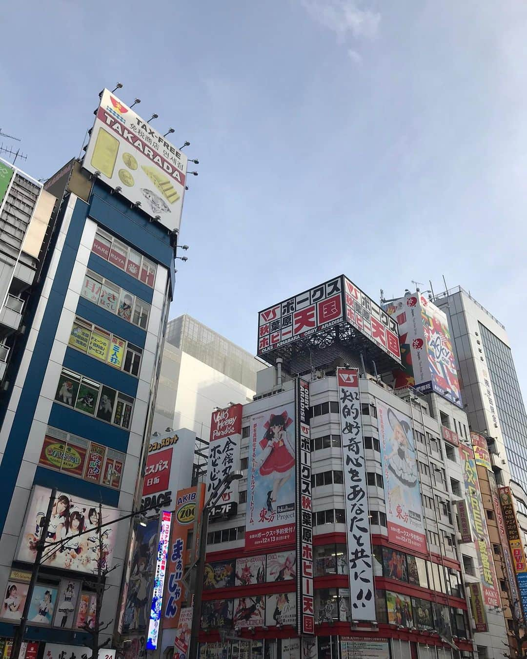 春奈るなさんのインスタグラム写真 - (春奈るなInstagram)「ワシの庭  #akihabara」3月1日 17時04分 - lunaharuna_official