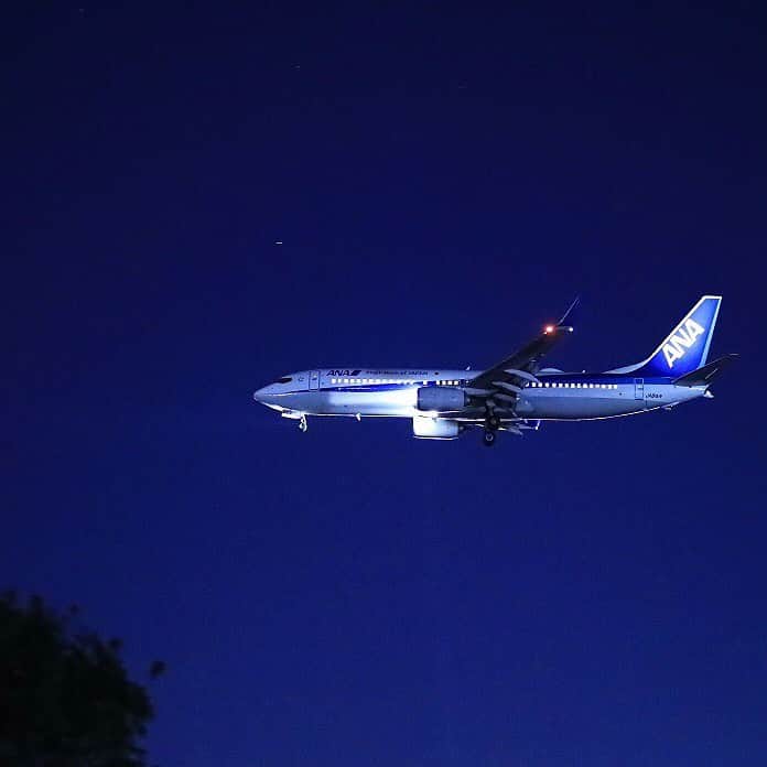 ANAさんのインスタグラム写真 - (ANAInstagram)「みんなを乗せて、目的地へ✈️﻿ ﻿ #夜のフライト #夜空と飛行機 #もうすぐ着陸 #ボーイング737 #ライトアップ #ANAブルー #飛行機写真 #飛行機好きな人と繋がりたい #ソラマニ_ヒコーキ #landing #b737 #night #flight #light #anablue #airplane #anaairplane #ana_jp﻿ ﻿ ANAの飛行機は「#ソラマニ_ヒコーキ」をつけて投稿してね📷インスタやANAの各メディアでご紹介していきます✈️」3月1日 17時29分 - ana.japan