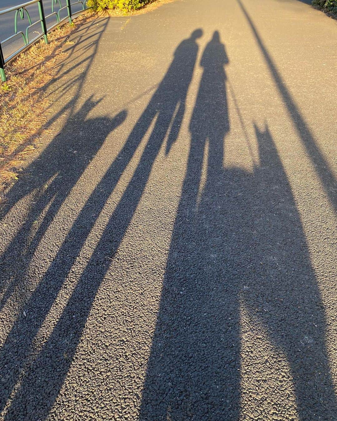 喜国雅彦＆国樹由香さんのインスタグラム写真 - (喜国雅彦＆国樹由香Instagram)「昨日の犬散歩での家族写真。柑奈ちゃんがじっとしていないため、ようやく撮れた一枚です（由）  #shadow #family #dog #mydog #myboy #mygirl #myhusband #me #sunnyday #happy #金時はとてもお利口さん #柑奈ちゃんは自由気まま #保護犬 #雑種犬 #犬 #だいすき」3月1日 17時37分 - kunikikuni