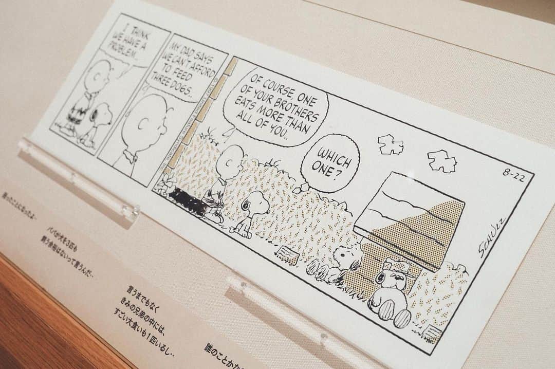 SNOOPY MUSEUM TOKYOのインスタグラム：「#snoopymuseumtokyo #schulzmuseum #snoopy #スヌーピーミュージアム #スヌーピー #スヌーピーときょうだい #snoopyandhissiblings」