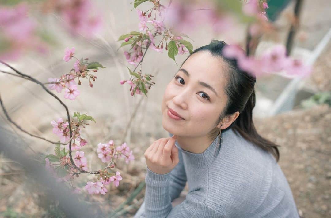 大慈弥レイのインスタグラム：「3月スタート🌸﻿ ﻿ 満開の河津桜を見つけると本当に嬉しくなります☺️☺️﻿ ﻿  #春#桜#河津桜#お花見 ﻿ 📷@_norimai_」