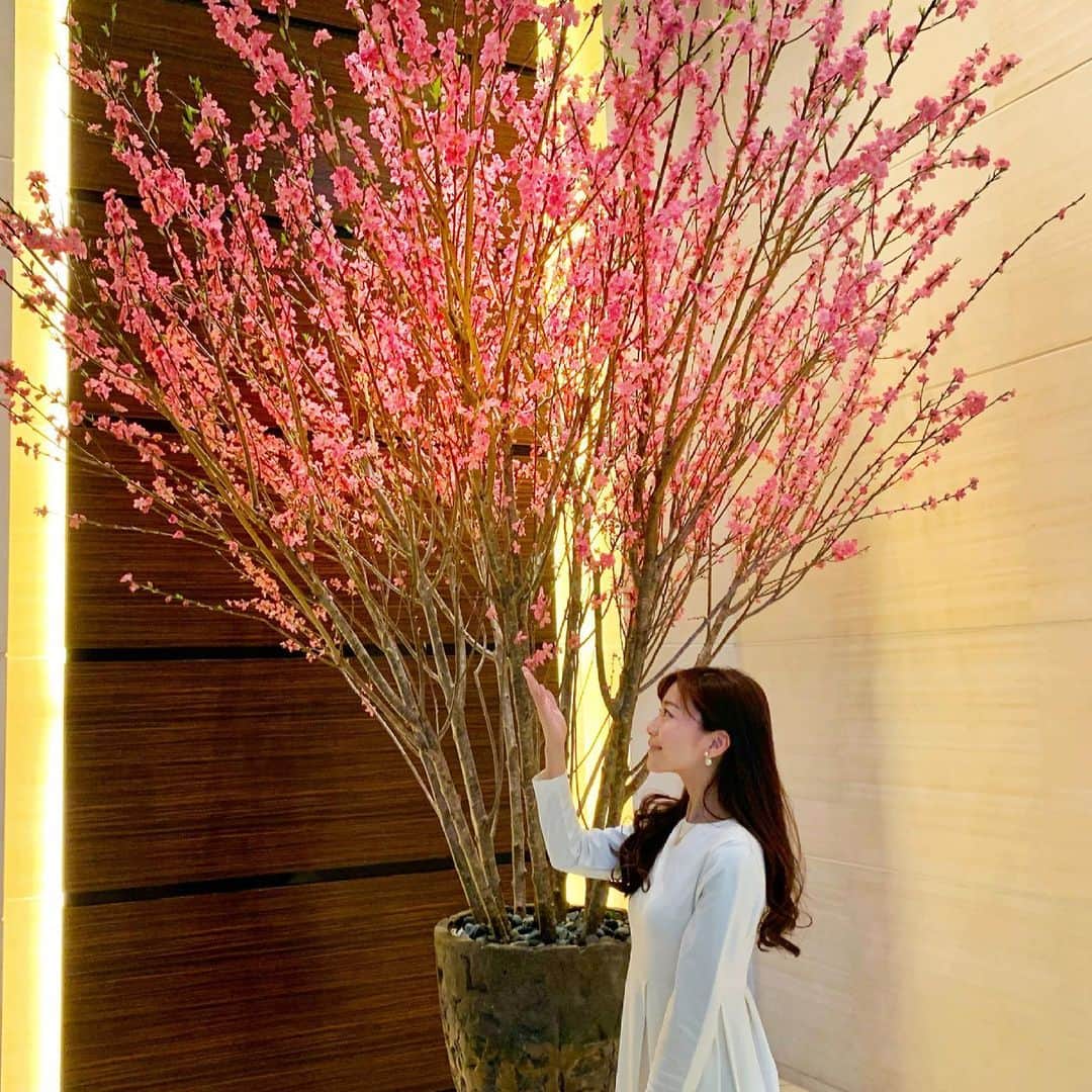 福山唯のインスタグラム：「今日から３月☺️🌸✨ . . 久々のヒールに心躍った日🌸 . .  年度末の1ヶ月☺️元気に頑張りましょう♡ . . #march #cherryblossom #flower  #桜 #3月 #お散歩　#白ワンピ　#ワンピース　🌸」