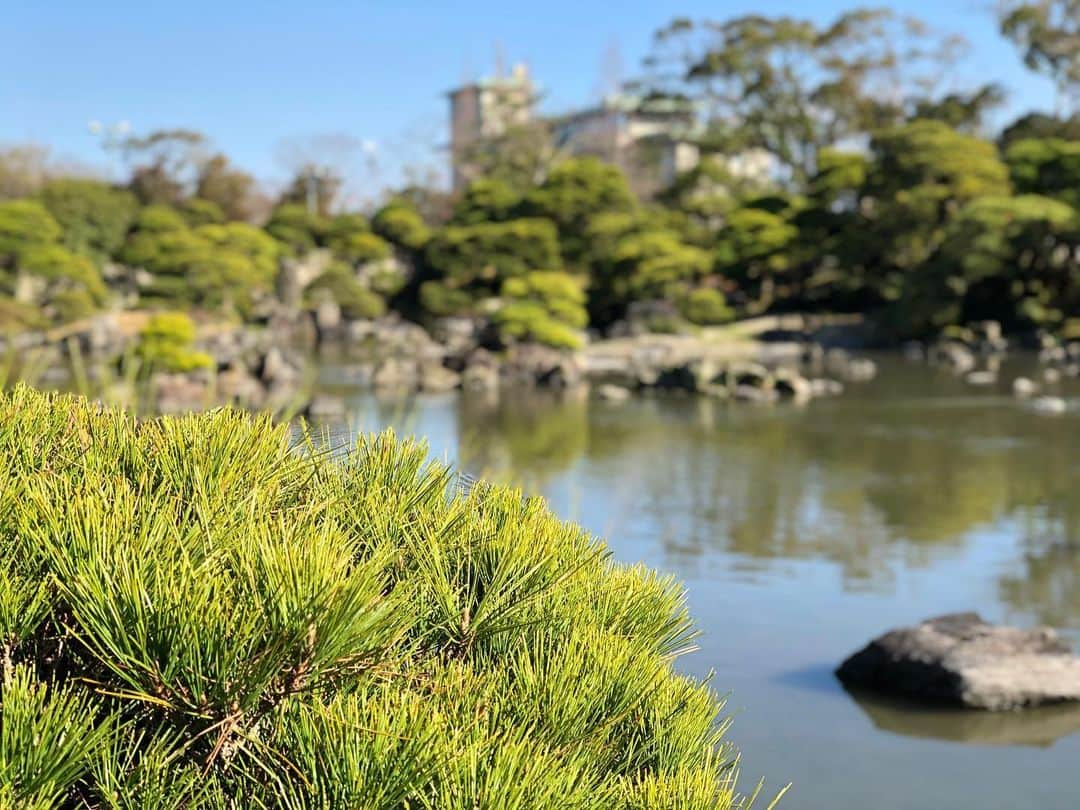 山口託矢さんのインスタグラム写真 - (山口託矢Instagram)「今日から3月ですね☺️ 3月も皆さんよろしくお願いします🌸 . . ちょうど一年前に西鉄の旅で行った 柳川の御花のさげもんの写真です📸 去年の緊急事態宣言前に行きましたが 宣言が出てしまったので載せれず… 温めまくった写真たちです！ 綺麗ですよね〜✨ . この時期の柳川といえば「さげもん」が有名なので 約一年越しにご紹介しました🙏 . . #3月 #march  #柳川 #さげもん #御花」3月1日 19時01分 - taku_ya_maguchi