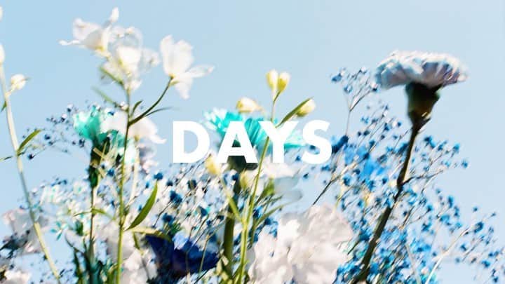 ルミネ公式のインスタグラム：「Keep your smile, Bloom your days.  満開の花と青空と笑顔。  Smiling Relay をつなぐ春です。 さあ、笑ってこ。  Model : @miyare38  Creative direction & Art direction @kana_tkym  Photo @8msmsm8  Hair & Make up @chikasuzuki1  Flower @ochiyasutaka @diligenceparlour   #笑ってこ #smilingrelay #keepyoursmilebloomyourdays #lumine #ルミネ #高山都 #石田真澄」