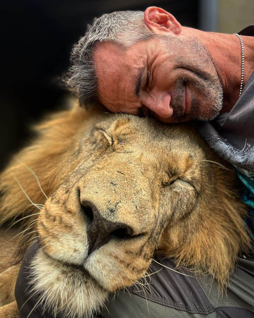 Kevin Richardson LionWhisperer さんのインスタグラム写真 - (Kevin Richardson LionWhisperer Instagram)「Happy Monday everyone with an exclusive fun give-away competition for you all to enjoy! 3 Lucky Winners will choose any one item from the range on the Teespring Lion Whisperer store as their prize. •	Simply send in a photo of any piece of Lion Whisperer Teespring merchandise you have purchased and an accompanying quote explaining why you like the Lion Whisperer range on the YouTube store •	Send your entry for this Give Away prize competition by email to pam@lionwhisperer.co.za •	All of the entries will be assessed and the judging panel will award the prizes based on the best photo and accompanying quote •	The best 3 entries rated by our judges will be awarded the give-away prize of any item from the Lion Whisperer store on YouTube •	We will share a number of the entries sent in throughout the competition •	The Give-Away Competition starts 10:00am EST time on Monday March 1 and entries close at 12 Noon 8th March EST •	Winners will be announced on a date on or after 8th March Store link in bio above (contact in bio link)   *Please note By submitting their photos to Lion Whisperer TV, participants agree to grant Lion Whisperer TV free of charge the right to use the photo in any manner and media, including without limitation, the right to publish, adapt, distribute, copy, display or translate in printed or electronic media even if they are not the winning entries. *All decisions are final and no correspondence will be entered into.」3月1日 21時07分 - lionwhisperersa