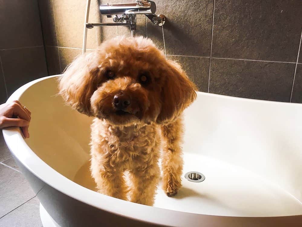 竹田城 城下町 ホテルEN（えん）のグルメインスタ