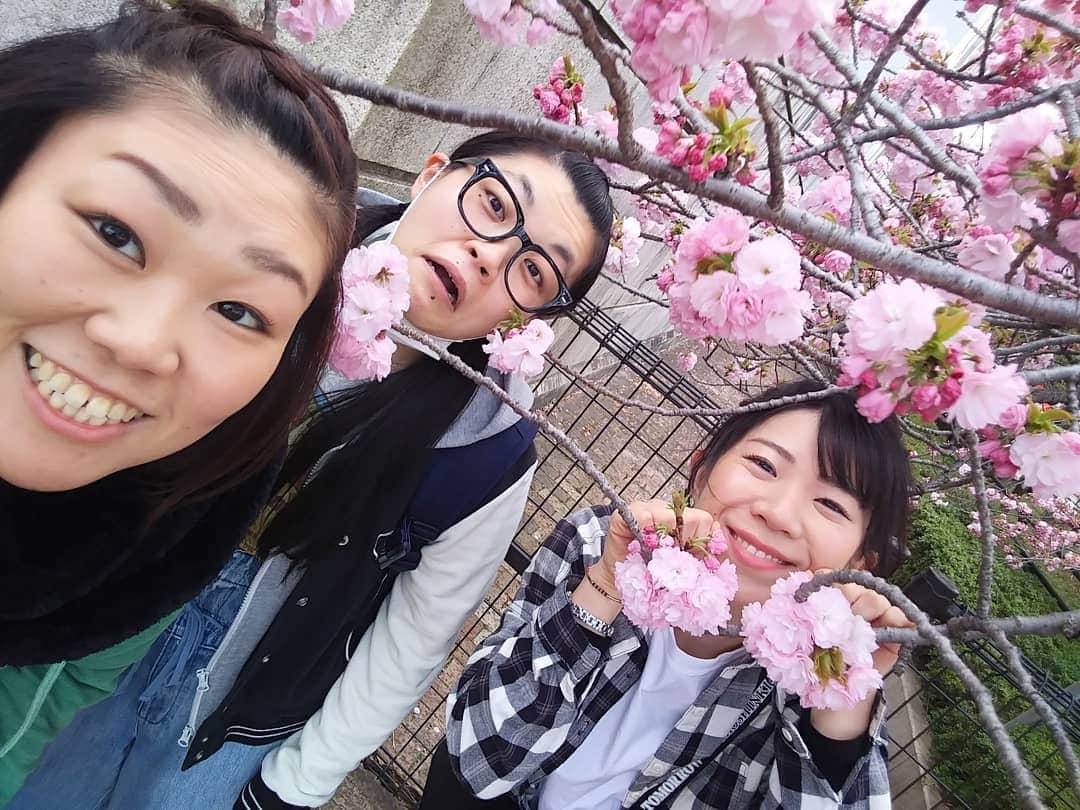 服部ひで子のインスタグラム：「早いもので、今日から３月ですね～(*^-^*)🎎🌷  これは、何年か前に ぢゃいこ姉さんと岡田さんと行った、大阪造幣局の桜の通り抜けです🌸✨  去年は、コロナの影響で 桜の季節が 知らない間に過ぎてしまったので、今年はゆっくり愛でたいですね……(*^^*)🌸  #吉本新喜劇 #ぢゃいこ 姉さん #岡田直子 さん #服部ひで子」