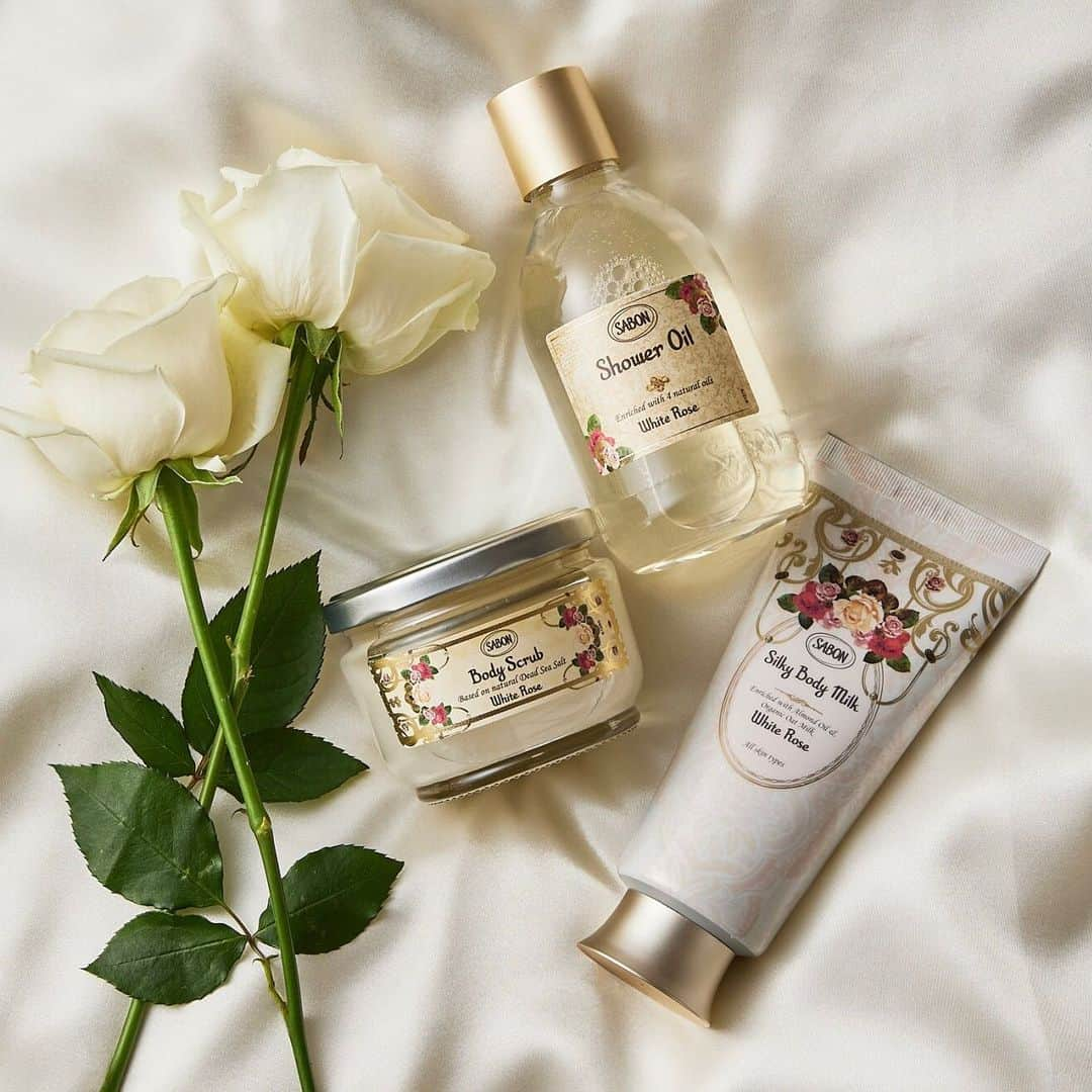 SABON Japanさんのインスタグラム写真 - (SABON JapanInstagram)「＜数量限定登場🌹"White Rose"＞ 乾燥が気になるお肌も、しっとり肌へ導くSABONの3STEPケア。﻿ 泡立ち豊かなシャワーオイルで全身を洗い上げ、ボディスクラブで古い角質をケアして柔らか肌に。﻿ スクラブの後はシルキーボディミルクを。柔らかくしなやかな輝きを放つ肌に仕上げます。 ﻿  王妃の庭に咲く、柔らかく優美な"ホワイト・ローズ"は、 フレッシュなベルガモットの軽やかさが春の優しい陽射しを予感させ、蕾がほころびはじめた柔らかなホワイト・ローズと優美なジャスミンが奏でる、詩のようにエレガントな香り。 神聖なムスクが高貴なエッセンスを加え、秘密めいた花園へと誘います。  #SABONRoseFestival ﻿ #sabon#ホワイトローズ#ホワイトローズの香り#SABONのホワイトローズ#bodycare#whiterose#spring#サボン#フレグランス#SABONボディスクラブ#秘密の花園#香り#美容#春コスメ#コスメ#春#SABONの香り#サボンの香り#ボディケア#透明感#しっとり肌#SABONのスクラブ#ボディスクラブ#香り#サボンのホワイトティー#フレグランス#SABONの香り#サボンの香り#ローズフェスティバル」3月1日 22時07分 - sabon_japan