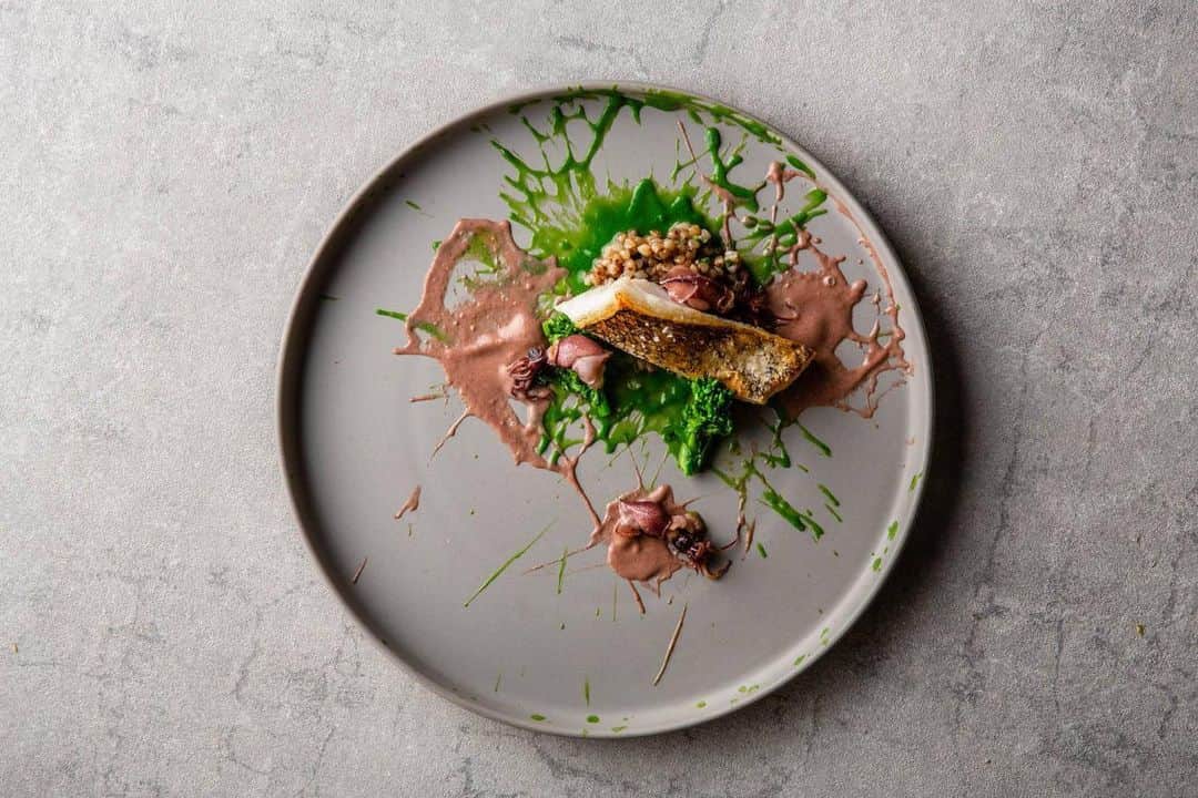 ステラートのグルメインスタ