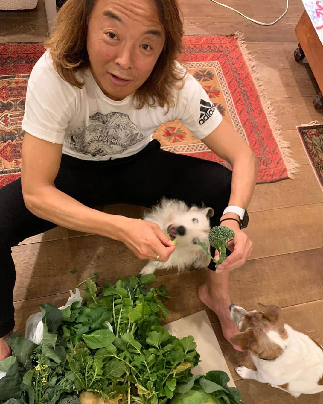 北澤豪さんのインスタグラム写真 - (北澤豪Instagram)「野菜泥棒ミルク🐾犬でも美味しいのが分かるみたいです。ありがとう畑女子🙇‍♀️#ベジランド川崎」3月1日 22時37分 - tsuyoshi_kitazawa_official