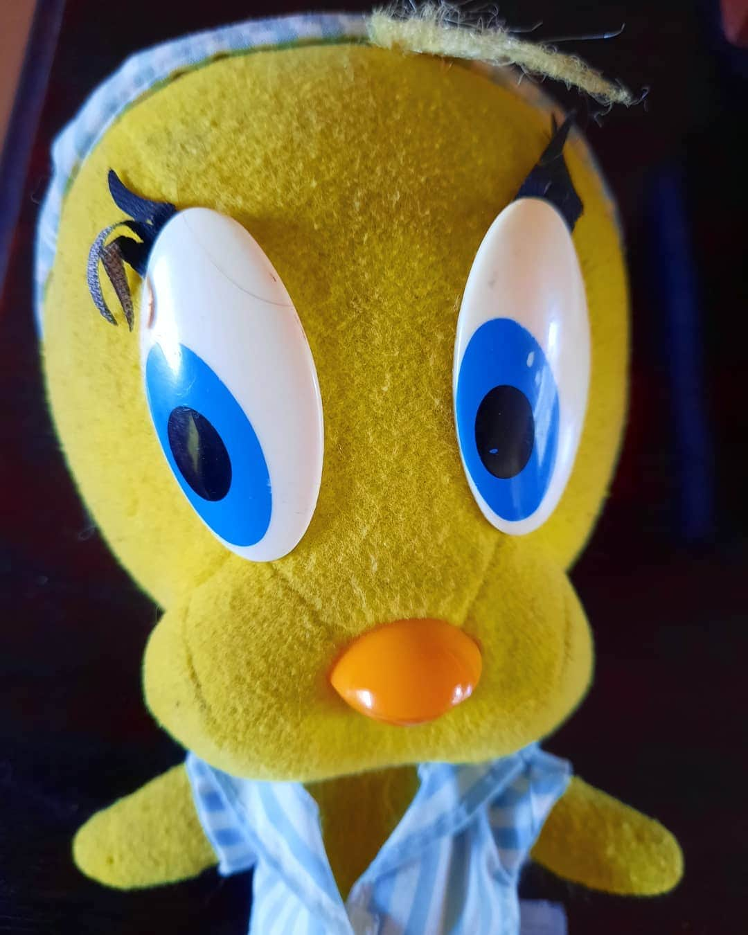 Little Yellow Birdさんのインスタグラム写真 - (Little Yellow BirdInstagram)「I'm getting old. Or is that just Monday talking? #littleyellowbird #tweety #tweetykweelapis #adventures #yellow #bird #monday #startoftheweek #mondayblues #mondayssuck #feelingblue #imgettingold #old #march #2021 #stuffedanimalsofinstagram #plushiesofinstagram」3月1日 23時05分 - tweetykweelapis