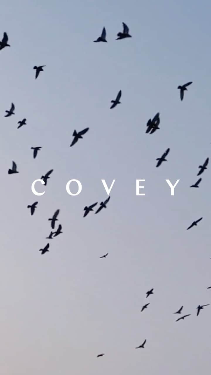 エミリー・DiDonatoのインスタグラム：「Meet @covey launching 3.3.21 🕊  I’ve hinted at this secret project that I’ve been working on for the last 3 years 🤯 and I can’t believe its almost time to share it with all of you! Let the countdown begin!   So much time, energy, thought, passion, research and late nights have gone into this - and YOU have been the inspiration behind it. Covey (pronounced kuh-vee) means a small flock of birds or a small group that support each other - that’s how I think about all of you. You’re my Covey - and I can’t wait to celebrate this launch with you.  Any guesses on what it could be!? Follow @covey for hints and leave your guesses below 👇🏻 If you guess correctly, you may just get a package from me with #covey ‘s first launch 👀」