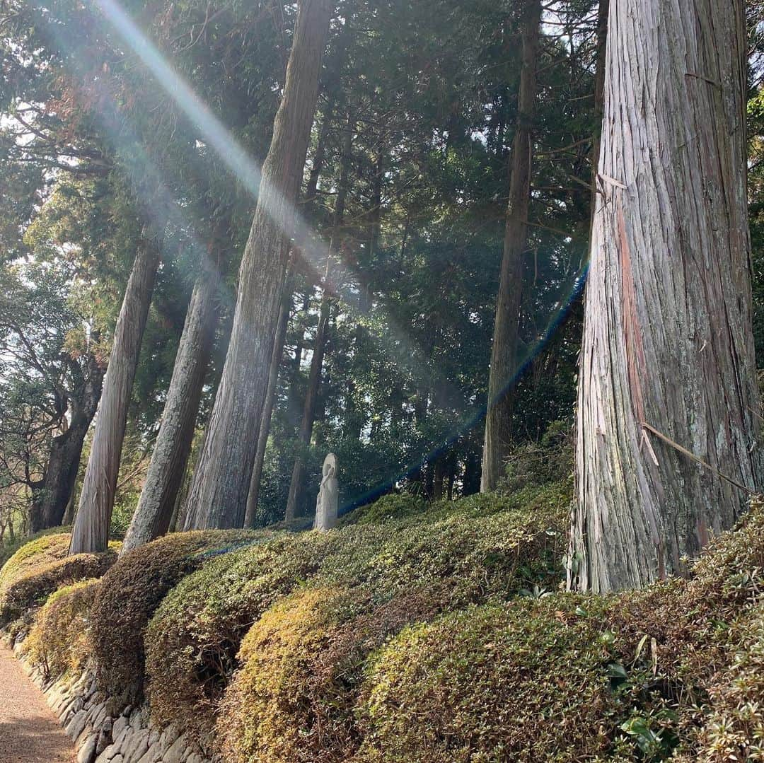 タケモトコウジさんのインスタグラム写真 - (タケモトコウジInstagram)「#滋賀県 #日野町 #雲迎寺   こんな写真を上げてますが、今日は広島クラブクアトロで「第1回輝く！おひなさまナイト！」です。 17:30開場、17:45からオープニングアクトありです！  お越しください！  詳しいことは広島クラブクアトロのHPをご覧下さい。」3月2日 14時07分 - takemotokoji