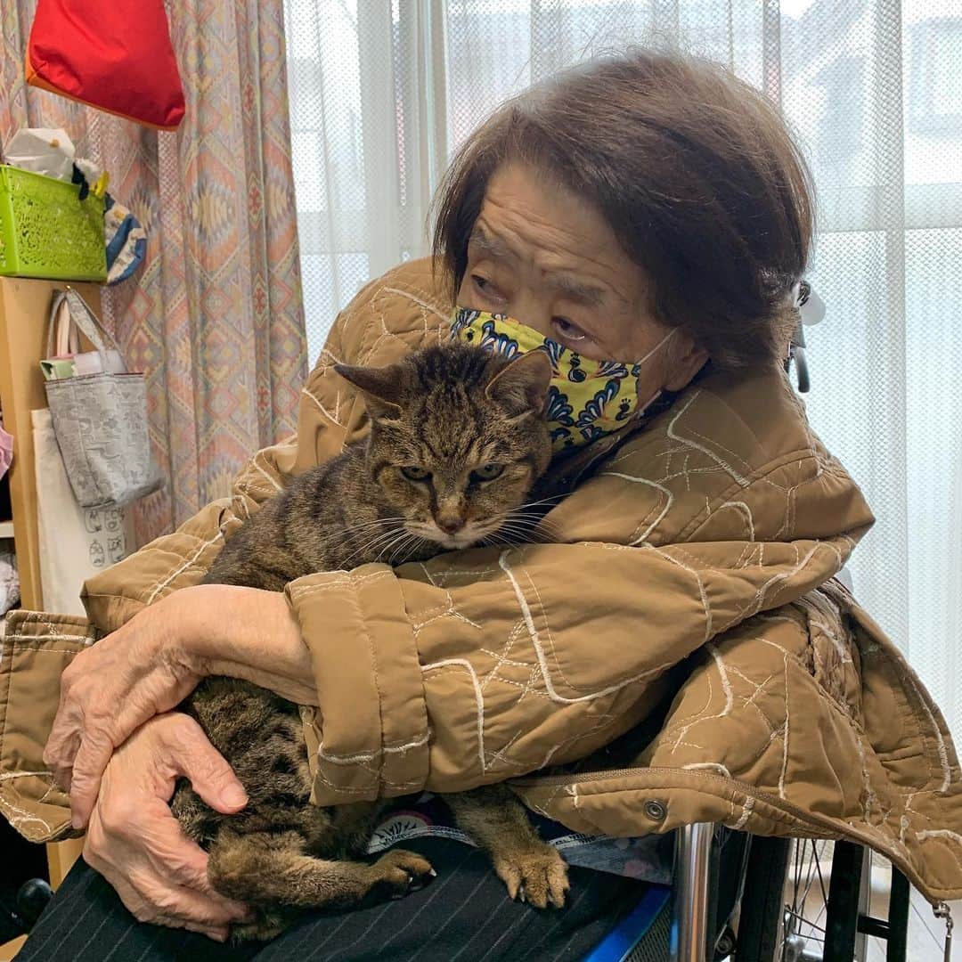 のインスタグラム：「デイサービスお迎え前の抱っこ。 Mother & Cocoa #バーバ #バーバと猫 #cocoa  #うちの猫ら #猫 #ねこ #cat #ネコ #catstagram #ネコ部 http://kachimo.exblog.jp」