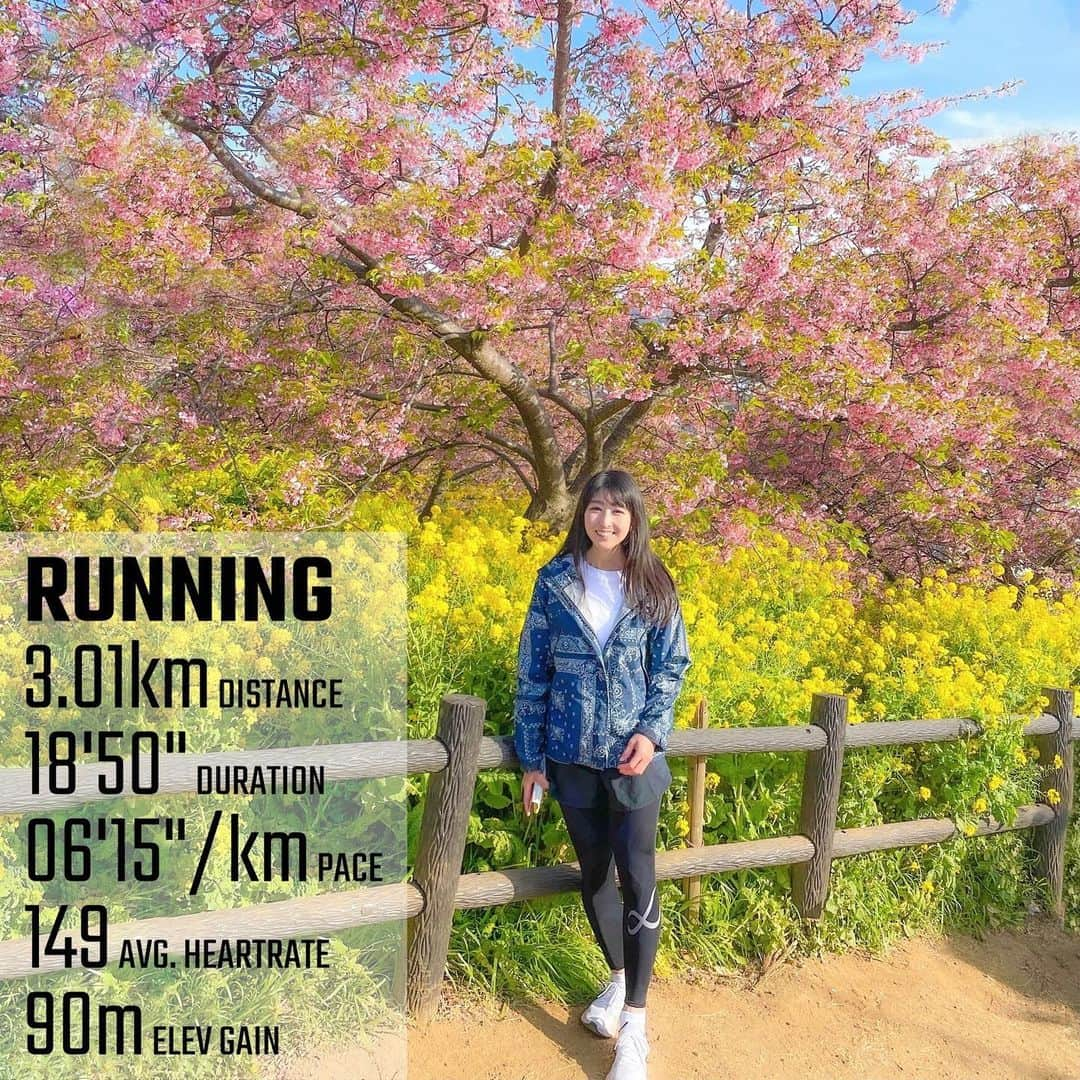 土屋香織さんのインスタグラム写真 - (土屋香織Instagram)「🏃‍♀️3.01🅚🅜 🌼🌸🗻🌸🌼𖤐𖤐𖤐 箱根ランチのあとはこちらへ🚘 （※ちなみに私は飲んだので運転してません。念のため記載笑） 河津桜と菜の花と富士山の景色が 観てみたかったのー( ˘͈ ᵕ ˘͈ )♡ 葉桜になり始めてたものの すごくすごくきれいでした🥺🌸🌸🌸 . こちらの公園🌿駐車場が閉鎖中で。 駅の方に車停めて走りました🏃‍♀️坂練❣️ . . . しかし、ここはどこ？って言うくらい 外国人しかいない不思議な公園でした笑笑 . . . @cwx.jp #cwx #nipponを走ろう #神奈川県 #旅ラン #西平畑公園 #松田山ハーブガーデン #松田山 #河津桜 #菜の花 #桜 #桜と菜の花 #富士山 #happyrunning #happyrunner #runtrip #vic_season #runninglife #runninglifestyle #かおvoyage #たびすたぐらむ #runninggirl #runtrip #ハシリマスタグラム #ハシリマシタグラム #写真好きな人と繋がりたい #genic_japan #jp_gallery #far_eastphotography #走るの好きな人と繋がりたい #ランナーさんと繋がりたい #ig_running」3月2日 10時11分 - kaorintsuchiya