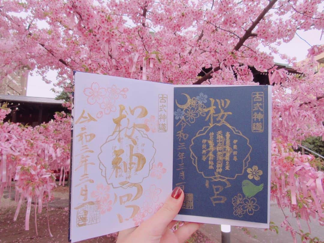 田名部生来さんのインスタグラム写真 - (田名部生来Instagram)「🌸🌸🌸 桜も花帯も 可愛いですね。 今年出会った人との ご縁はあまり良くないと 言われたので むやみやたらに 縁を結ぶことを私は 辞めました☺️笑 . 1年ぶりの直書、 綺麗です、アガる...。 今月限定のソメイヨシノの 御朱印です。右は夜桜。  #御朱印」3月2日 11時19分 - mnkspnpn